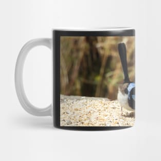 Superb Fairy Wren in Norton Summit Mug